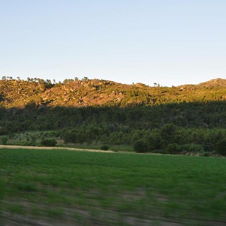 Вилла Pinheirinhos - Quinta De Sao Caetano Carapito Экстерьер фото