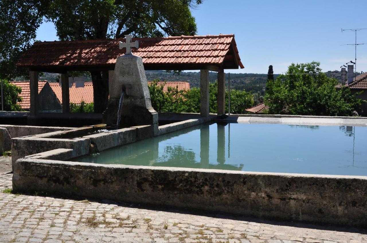 Вилла Pinheirinhos - Quinta De Sao Caetano Carapito Экстерьер фото