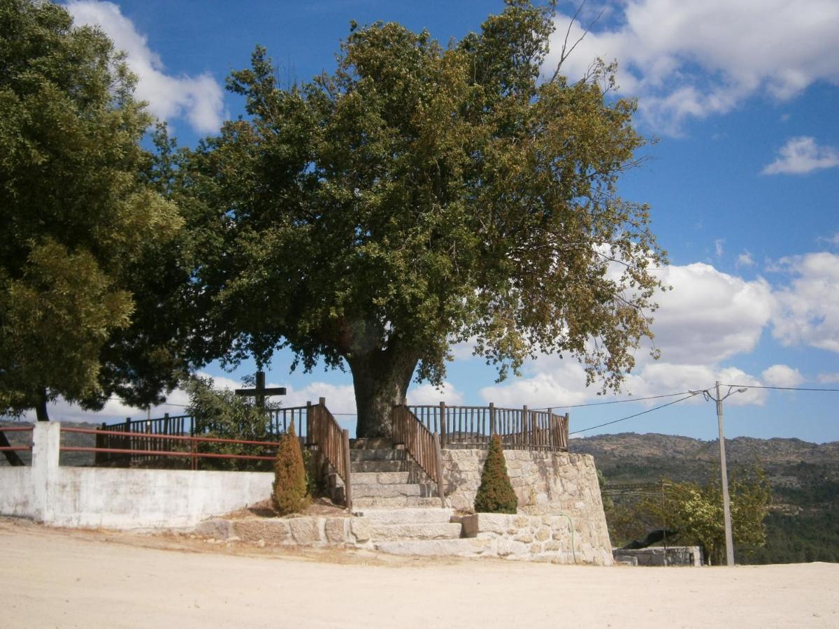 Вилла Pinheirinhos - Quinta De Sao Caetano Carapito Экстерьер фото