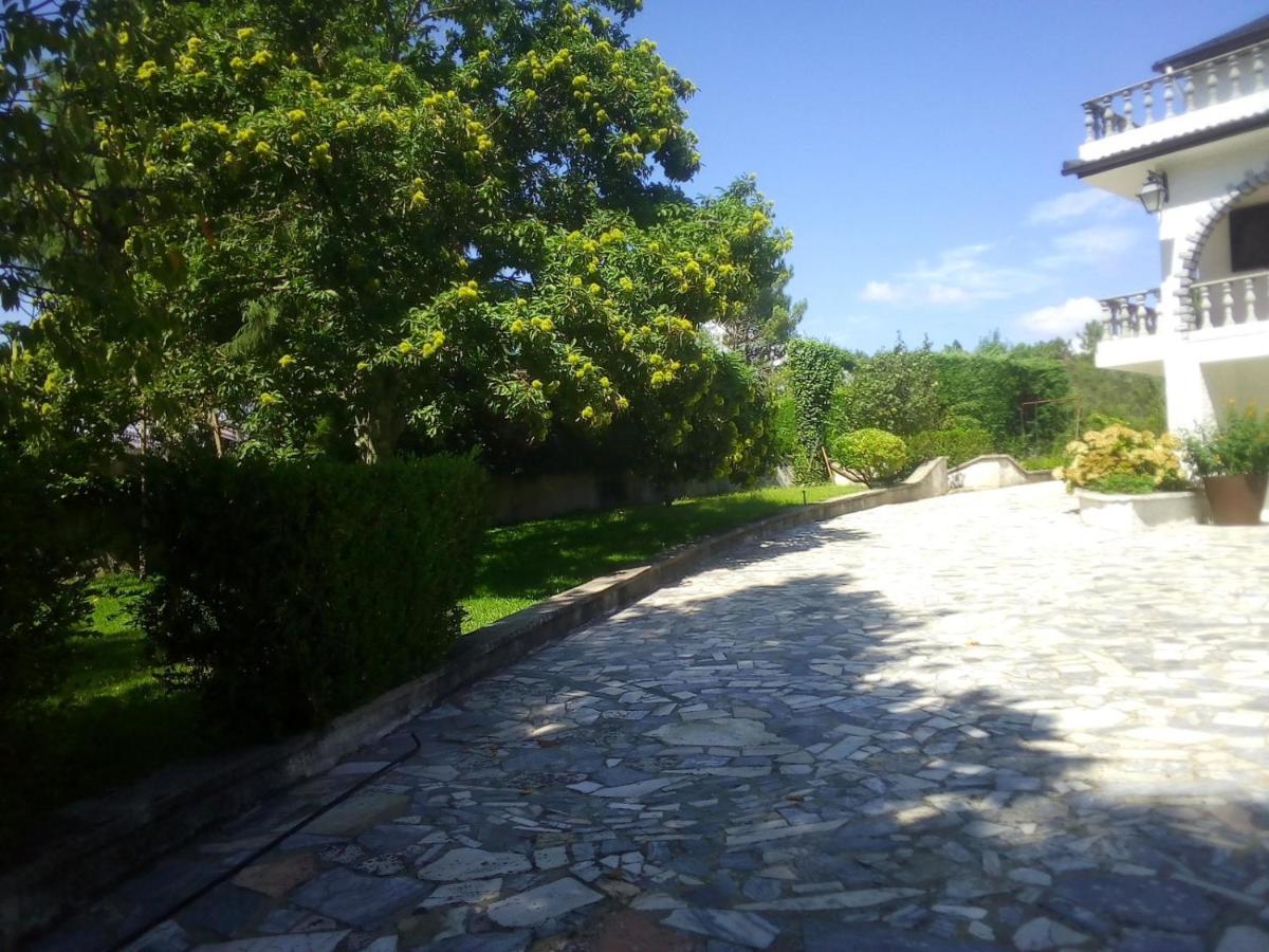 Вилла Pinheirinhos - Quinta De Sao Caetano Carapito Экстерьер фото